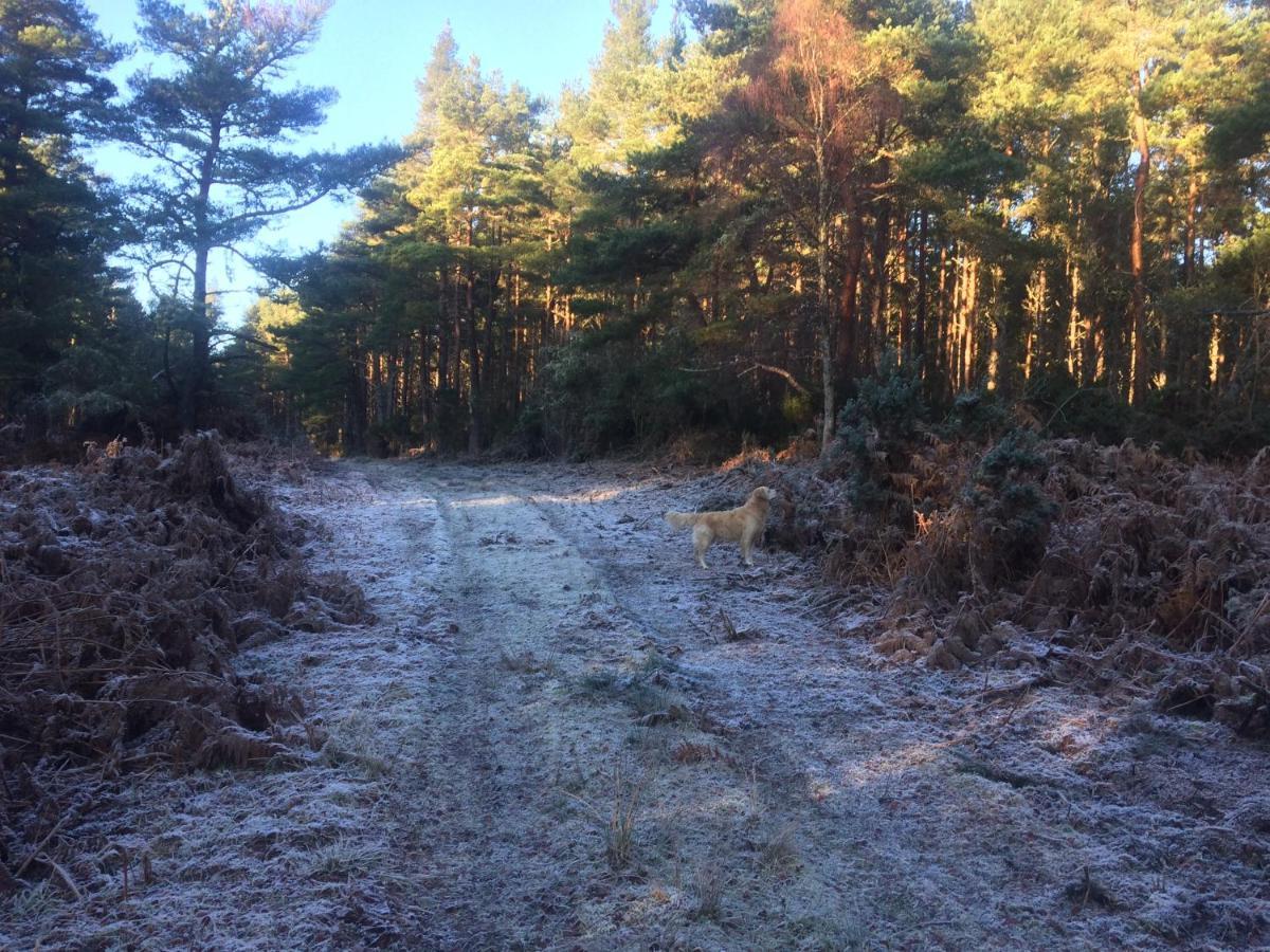Clashmore Wood ドーノッホ エクステリア 写真
